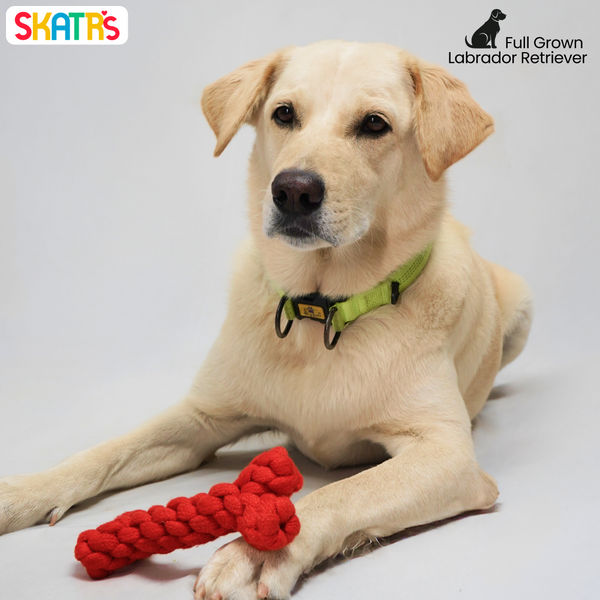 Skatrs Bone Shaped Rope Chew Toy for Dogs and Cats (Red)