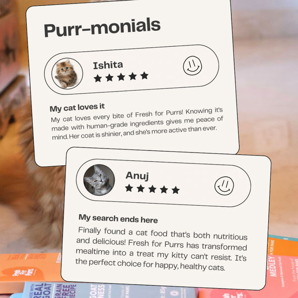 Fresh For Purrs Liverlicious Pumpkin Supplement for Cats