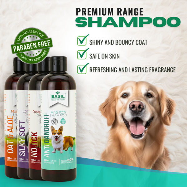 Basil Anti Dandruff & Anti Itch Shampoo for Dogs and Cats