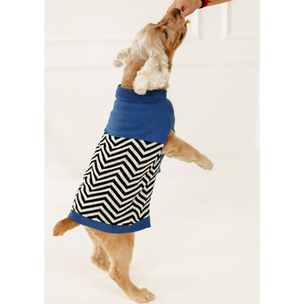 Pet Set Go Raisin’s Sweater for Dogs and Cats (Blue & Black)