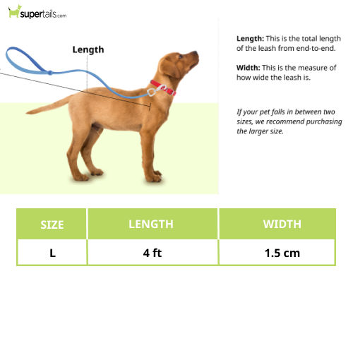 Basil Rope Leash for Dogs (Black/Blue)