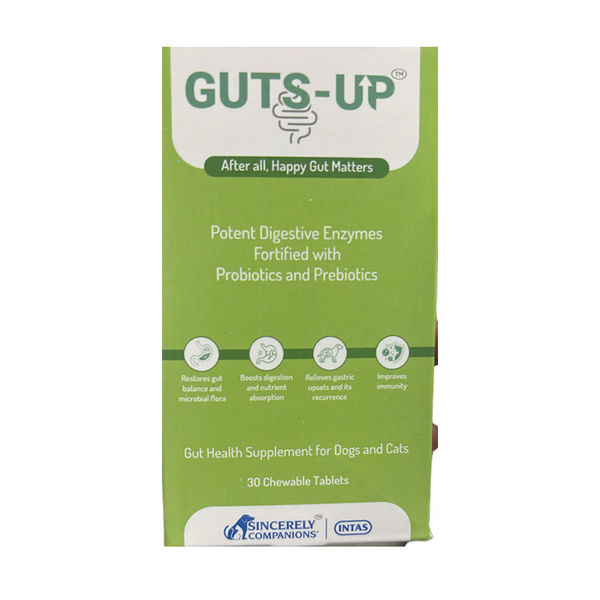 Intas Guts up Digestive health supplement for Dogs and Cats