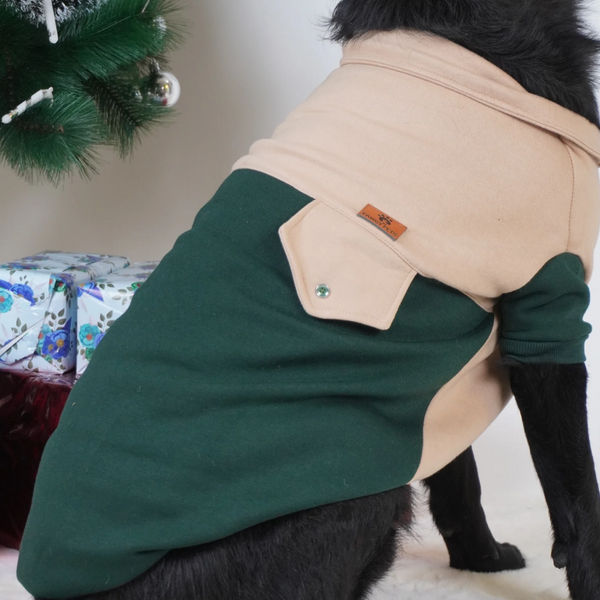 Pawgy Pets Hoodie Sweatshirt for Dogs and Cats