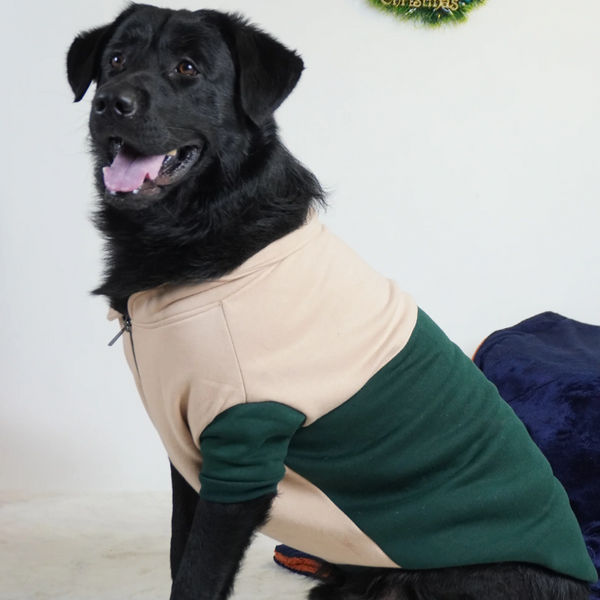 Pawgy Pets Hoodie Sweatshirt for Dogs and Cats
