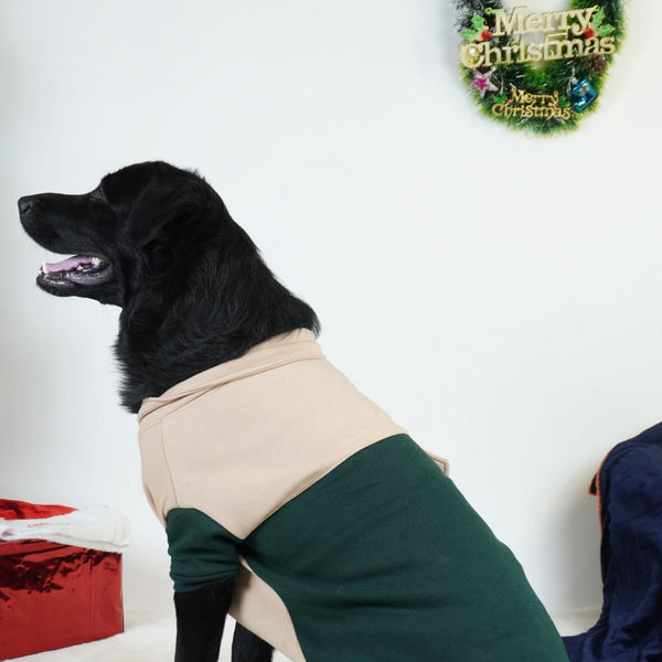 Pawgy Pets Hoodie Sweatshirt for Dogs and Cats