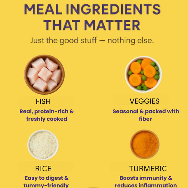 The Doggy Bakery Chicken, Mutton, Fish, Paneer and Veggies Home Meal Combo for Dogs