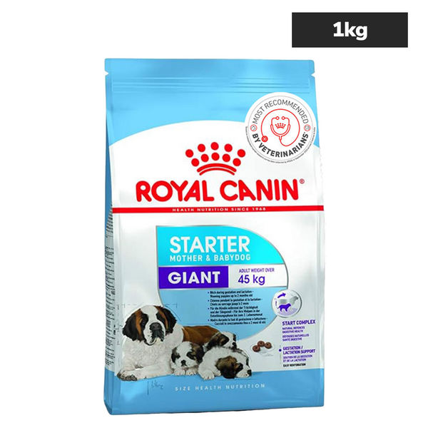 Royal Canin Royal Canin Giant Starter, Mother & Babydog Dog Dry Food