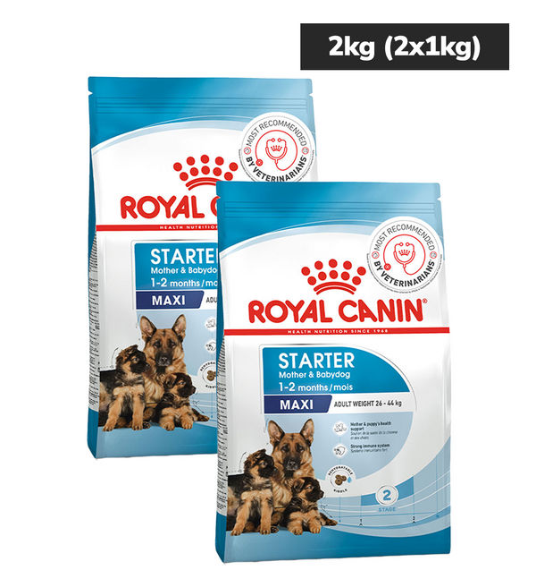 Royal Canin Maxi Starter, Mother & Babydog Dry Food