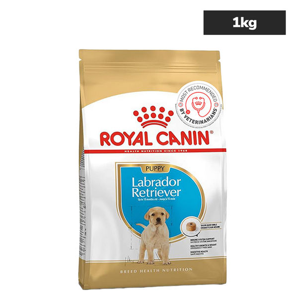 Royal Canin Labrador Retriever Puppy Dog Dry Food