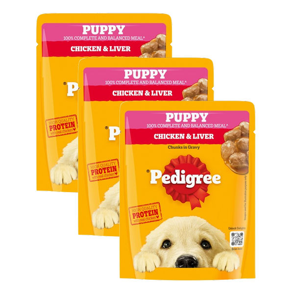 Pedigree Chicken & Liver Chunks in Gravy Puppy Wet Dog Food