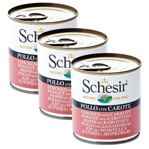 Schesir Chicken & Rice with Carrot in Jelly Dog Wet Food