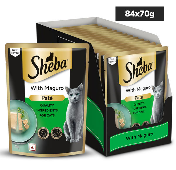 Sheba Maguro Pate Wet Food and Duo Tuna & Chicken, Salmon & Tuna, Chicken & Salmon Crunchy Treats Combo for Adult Cat