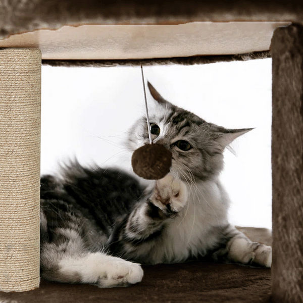 Furrlovers Multi Level Cat Tree Tower with Scratching Posts, Hammock & Condo (Brown)