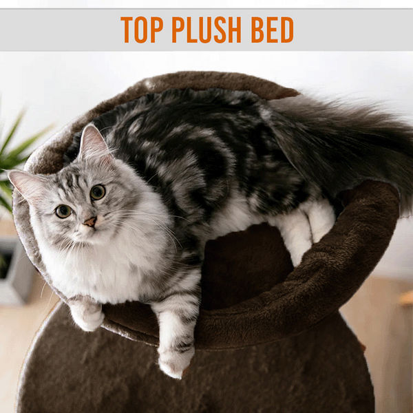Furrlovers Multi Level Cat Tree Tower with Scratching Posts, Hammock & Condo (Brown)