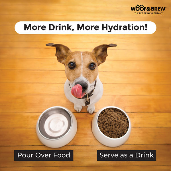 Woof & Brew Bottom Sniffer Non Alcoholic Chicken & Malt Original Beer for Dogs