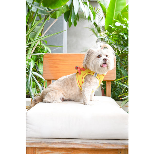 Pets Way Air Mesh Harness for Puppies & Small Dogs (Yellow)