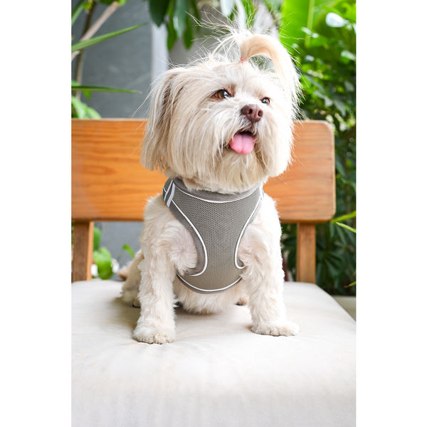 Pets Way Air Mesh Harness for Puppies & Small Dogs (Grey)