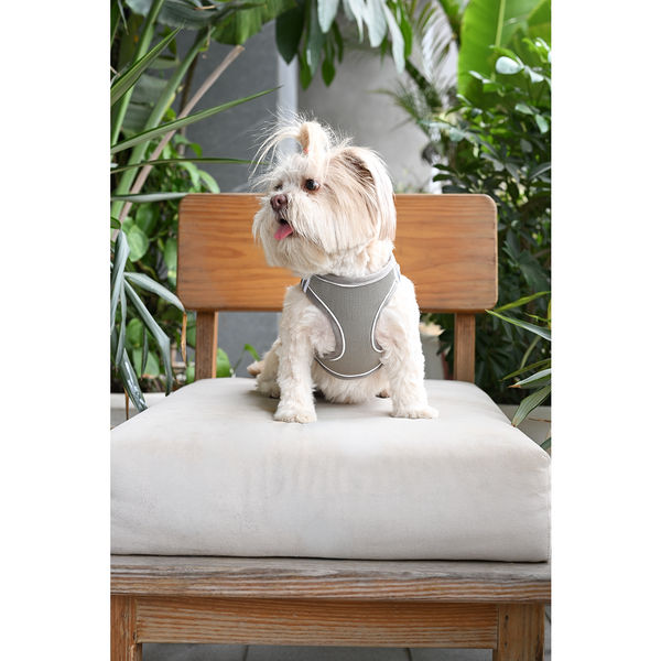 Pets Way Air Mesh Harness for Puppies & Small Dogs (Grey)