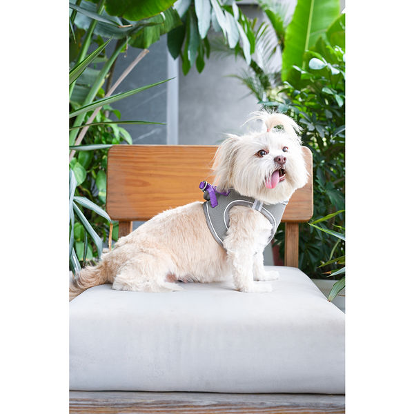 Pets Way Air Mesh Harness for Puppies & Small Dogs (Grey)