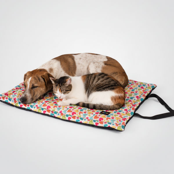 Skatrs Cozy Love Printed Mats for Dogs and Cats