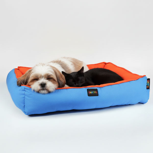 Skatrs Square Shaped Bed for Dogs & Cats (Orange & Blue)