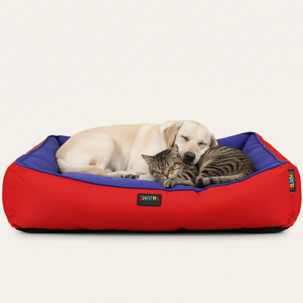 Skatrs Square Shaped Bed for Dogs & Cats (Red & Blue)