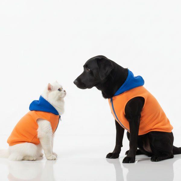 Skatrs Sunset Splash In-Style Hoodie For Dogs and Cats (Orange & Blue)