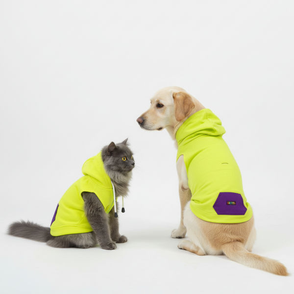 Skatrs Galaxy Breezy Hoodies with Pockets for Dogs and Cats (Green)