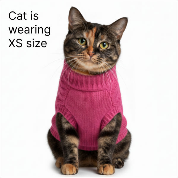 Skatrs Hot Pink Sweater For Dogs and Cats
