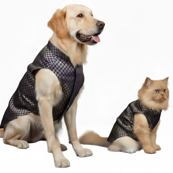 Skatrs Brocade Gold Printed Sherwani for Dogs and Cats (Blue)