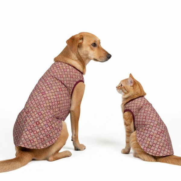 Skatrs Burgundy Regal Ensembl Festive Grace Sherwani for Dogs and Cats
