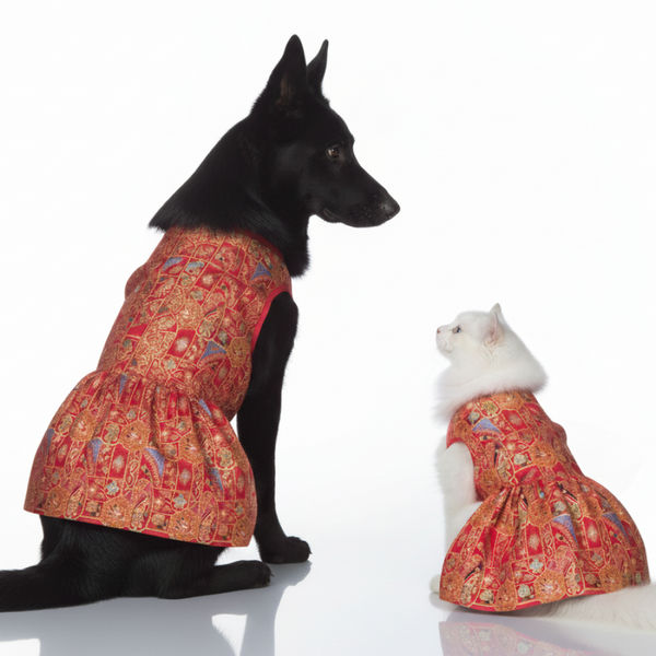 Skatrs Royale Lehenga for cats and dogs (Pink)