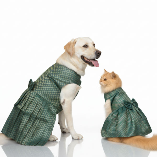 Skatrs Brocade Gold Printed Dress for Dogs and Cats (Teal)