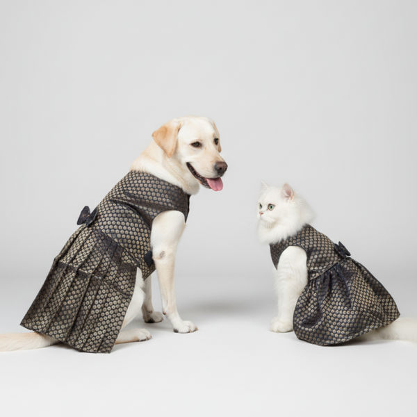 Skatrs Brocade Gold Printed Dress for Dogs and Cats (Blue)