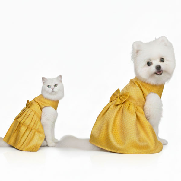 Skatrs Brocade Gold Printed Dress for Dogs and Cats (Yellow)