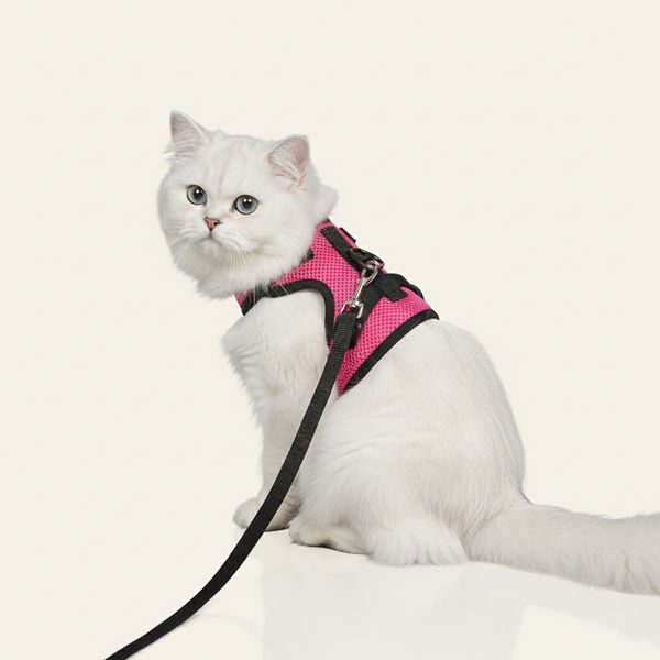 Skatrs Harness with Leash for Cats (Pink)