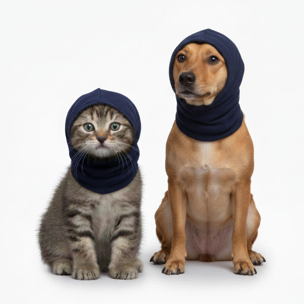 Skatrs Cold and Sound Protection Ear Muffs for Dogs and Cats (Blue)