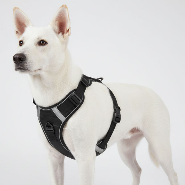 Skatrs Fully Padded Comfort Midnight Reflective Harness for Dogs & Cats (Black)
