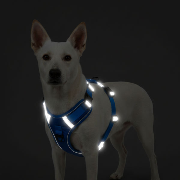 Skatrs Fully Padded Comfort Electric Reflective Harness for Dogs & Cats (Blue)