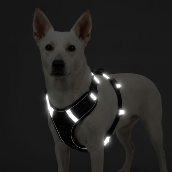 Skatrs Fully Padded Comfort Midnight Reflective Harness for Dogs & Cats (Black)