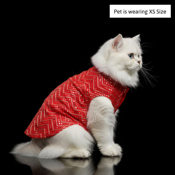 Skatrs Festive Mirror Sherwani for Cats and Dogs (Red)