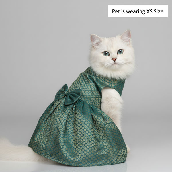 Skatrs Brocade Gold Printed Dress for Dogs and Cats (Teal)