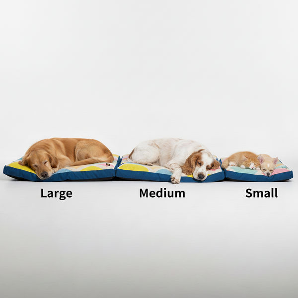 Skatrs ColorPop Flat Bed for Dogs & Cats