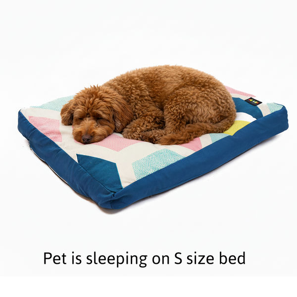 Skatrs ColorPop Flat Bed for Dogs & Cats