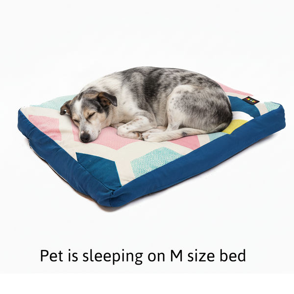 Skatrs ColorPop Flat Bed for Dogs & Cats