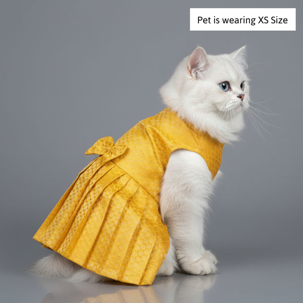 Skatrs Brocade Gold Printed Dress for Dogs and Cats (Yellow)