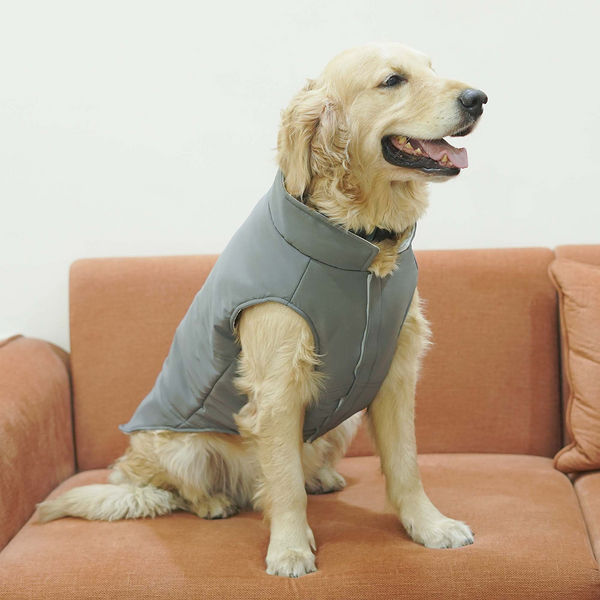 Pets Way Frost Winter Jacket for Dogs (Grey)