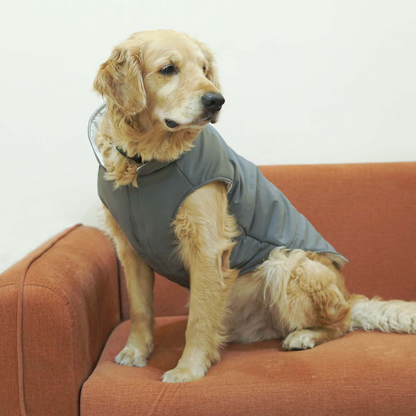 Pets Way Frost Winter Jacket for Dogs (Grey)