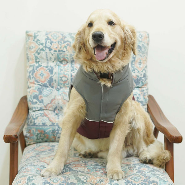 Pets Way Frost Winter Jacket for Dogs (Wine)