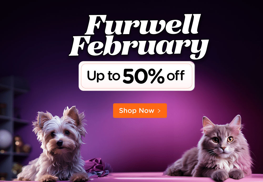 Online Pet Store, Shop Pet Supplies and Products: Supertails